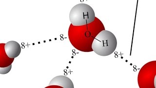 Hydrogen bonds