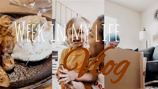 WEEK IN MY LIFE | MOM VLOG, HOME UPDATES, ORGANIZING|