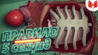 Правило 5 секунд (VR)