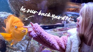 We came face to face with a TERRIFYING shark! | Vlogmas Day 9