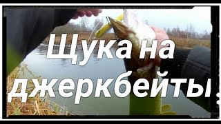 Рыбалка на спиннинг осенью на джеркбейты . Рыбалка в Эстонии 2019 .