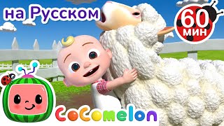 На Ферме👨‍🌾🧺 | Сборник 1 Час | CoComelon на русском — Детские песенки | Мультики для детей