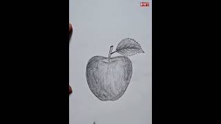 How to draw an Apple | আপেল অংকন |