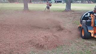 Scag Windstorm gathering pine straw the easy way! #scag #lawncare #easyway