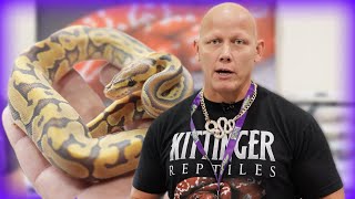 Kittinger Reptiles