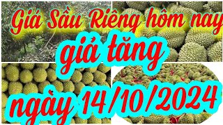 giá sầu riêng hôm nay ngày 14/10/2024