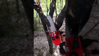 best mini chainsaw cordless