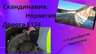 Скандинавия, Норвегия, Е134.