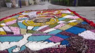 Infiorata 2016 a Casanova di Carinola