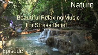 Beautiful Relaxing Music For Stress Relief Calming Music Meditation Relaxation Sleep Spa, Nature