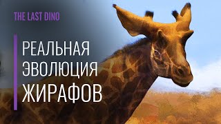 Реальная Эволюция Жирафовых. От огромных Сиватерий, до Окапи