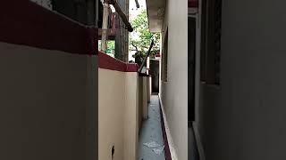 Independent house in Jadavpur || Property in Kolkata for sale || Kolkata property market update