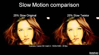 Slow Motion Comparison with Ginger