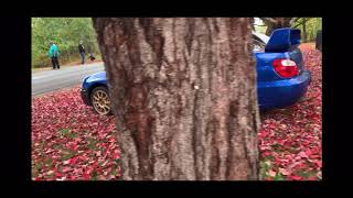 Fall Spiced STI’s and BRZ Burnouts