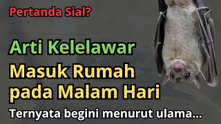 Apakah Pertanda Sial? Begini Pendapat Ulama Tentang Arti Kelelawar Masuk Rumah, Diluar Dugaan...