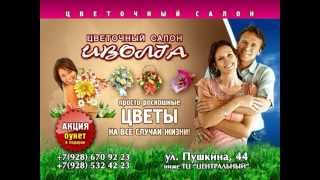 Цветочный Салон "ИВОЛГА". дербент. октябурЪ 2011г.