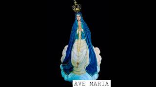 AVE MARIA    #youtubeshort #youtube #church#maryam #mothermarysongs #teluguchirstiansongs #ytshorts