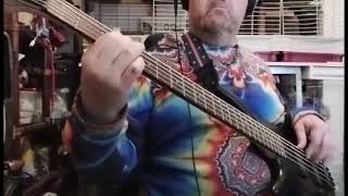 UB40 - Homely Girl (Didier Cover Bass)