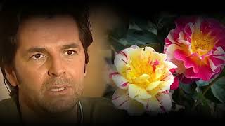 THOMAS ANDERS/GIRL OUT OF MY DREAMS/2024/