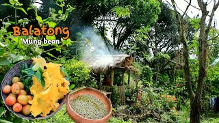 Cooking MUNG BEAN | peaceful life in the mountain