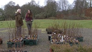 The Community Channel interviews volunteers at Dundreggan.