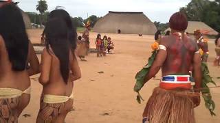 Brazil indigenous dance | Tears Of The Girls In Amazon Rain Forest - 아마존의 눈물 EP.01