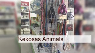 Kekosas Animals - Sevilla