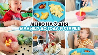 👶ДЕТСКОЕ МЕНЮ ДЛЯ РЕБЕНКА ДО ГОДА И СТАРШЕ🍏НА 3 ДНЯ🥦НАШЕ МЕНЮ В 10 МЕСЯЦЕВ