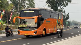 DI JALUR INI SUDAH BANYAK MODEL JETBUS 5 | Hunting Bus Pagi