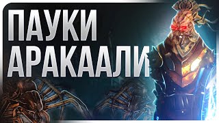 Оккультистка Пауки Аракаали - Билд на Ведьму - Поселенцы Калгуура Path of Exile 3.25 | Lootkeeper