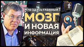 Мозг и новая информация | Кто здесь главный? [2 серия]