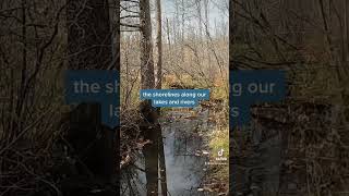 Take a moment to appreciate these beautiful landscapes: wetlands! #YourMetroparks #worldwetlandsday