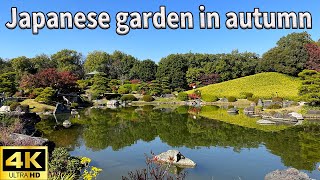 【Japanese Garden in Autumn】Japan is the place with the most beautiful autumn leaves in the world!