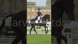 Yas Ingham and Gypsie du Loir at stunning Blenheim setting #equestrian #dressage