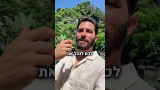 איך לצאת לנוודות דיגיטלית ולטייל בעולם ( הנה מה שכדאי לכם ללמוד )