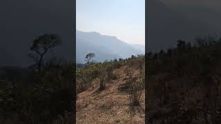 15 bigha land for sale in dhanoulti #viral #dhanaulti #realestate #foryou #sale #forsale