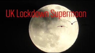 UK Lockdown - My View of the Supermoon....