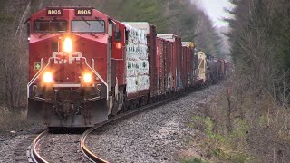 LRT!! CP 8005 at Martinville (02MAY2021)