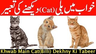 Dream(khwab) Mian Cat(Billi) Dekhny Ki Tabeer In Urdu & Hindi