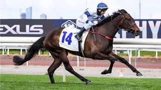 Sandown Lakeside Racing Preview Vobis Gold Day ! (15.04.23) / Sky High Horse Racing