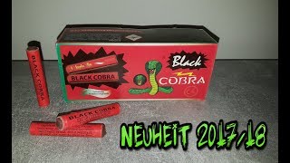 NEUHEIT 2017/18 "Black Cobra" Di Blasio Elio Fireworks | [4K]