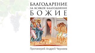 Благодарение за всякое благодеяние Божие | Протоиерей Андрей Чернеев