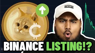 CATCOIN BINANCE LISTING!!! BINANCE IS DROPPING HINTS... CAT COIN PRICE PREDICTION