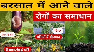 बरसात में आने वाले रोगों की रोकथाम | crop disease control in rainy season |