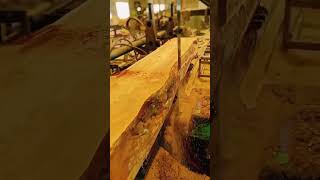 Wood Cutting #3022 #woodworking #woodworkingart #woodworkingtools #wood #woodworkingprojects