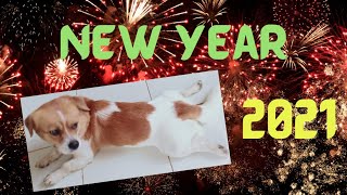 New Year! 2021.😍🎉 with our pet dog, Jeddah.🐶🐕 | vlog #1