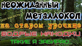 Неожиданный металлокоп ,коп по войне,чермета и монет металлоискателем на старом урочище.ВОВ находки.