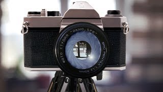 Rolleicord V:  50 выпуск