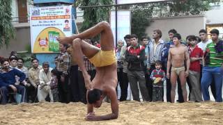 Yoga Demonstrations at Ambedkar Dangal