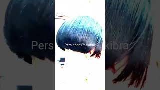 undercut paskibra